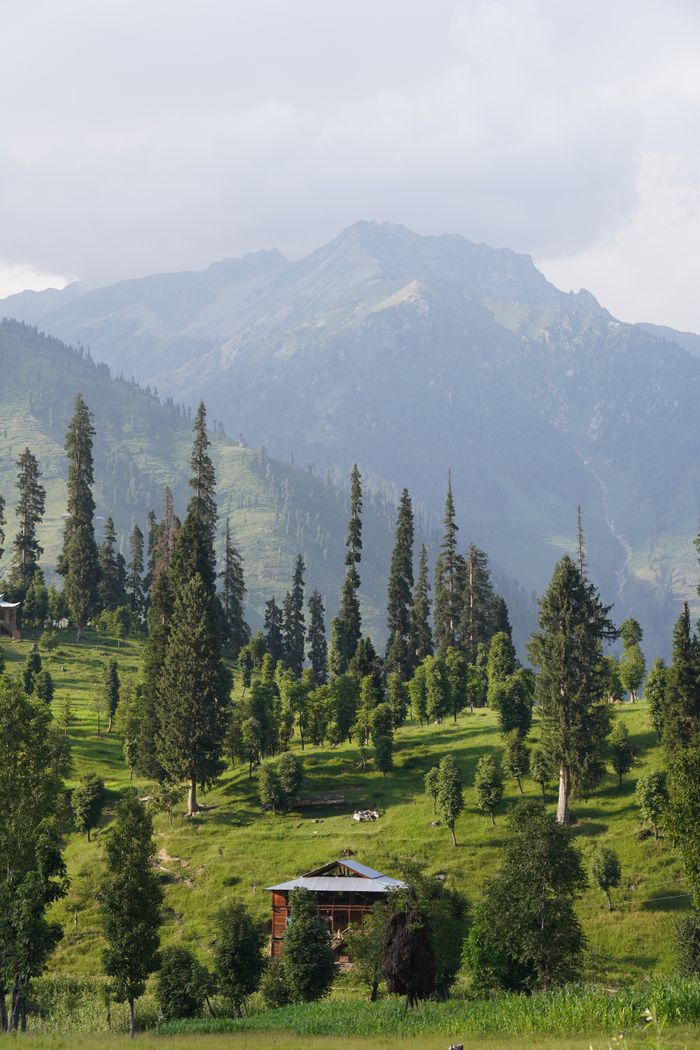 about-us Beautiful mountainous landscape in Arang Kel with lush greenery and cottages in summer.
