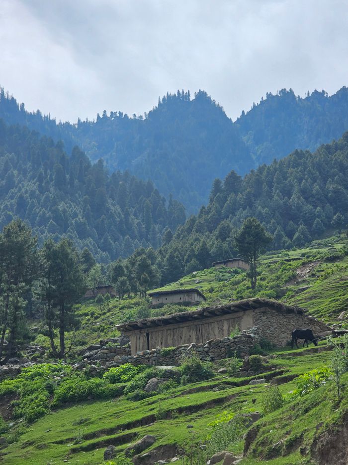 who-we-are Rustic village house nestled in lush green mountains, showcasing stunning natural beauty.